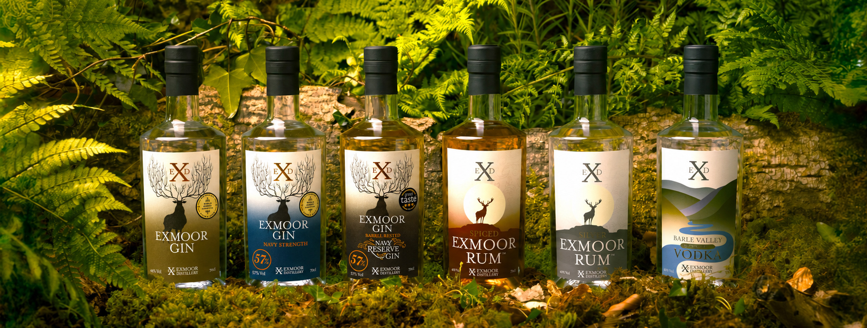 Exmoor-homepage-v2